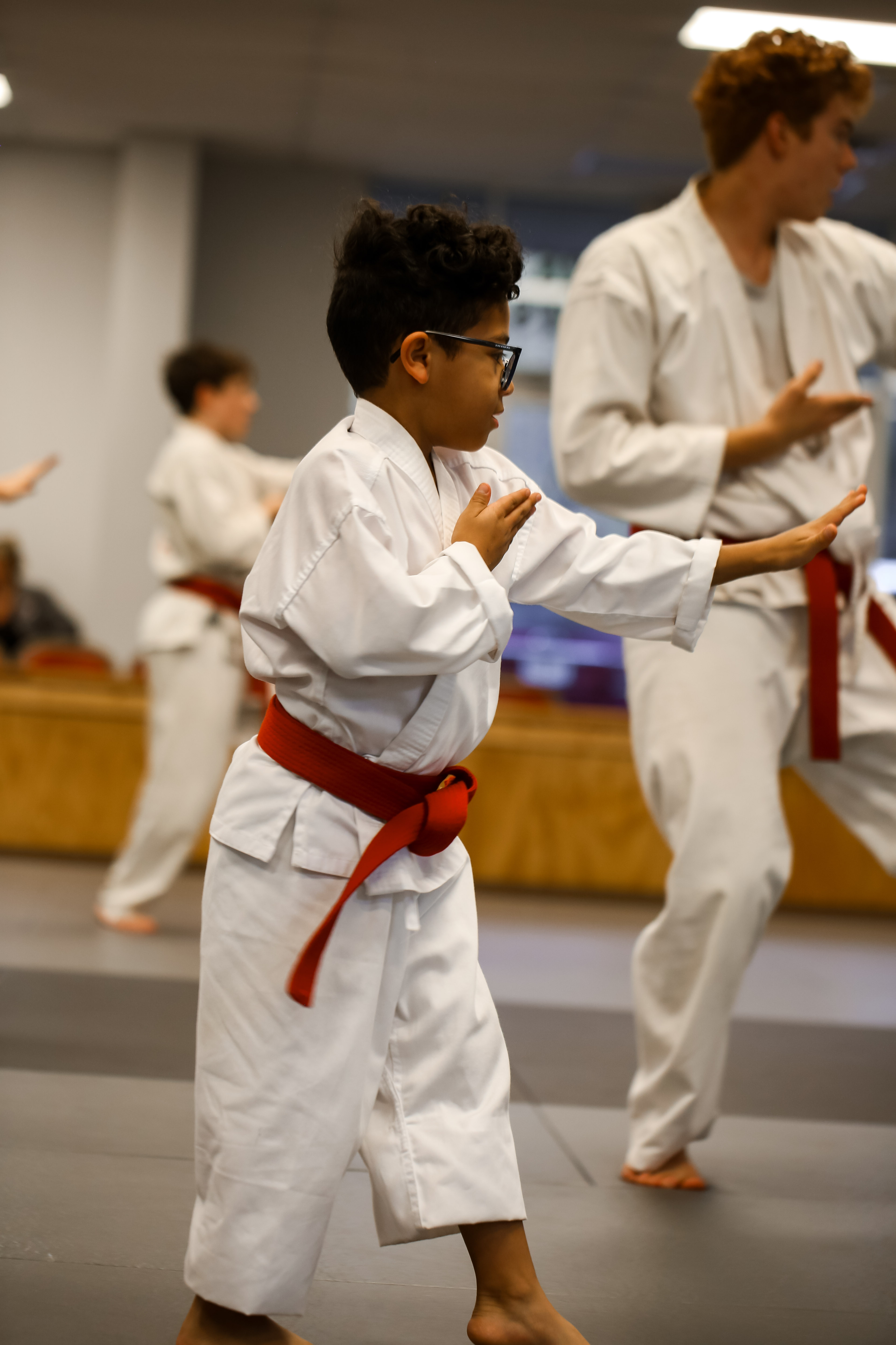 "BJJ vs. Traditional Martial Arts: Why Brazilian Jiu-Jitsu is Different"