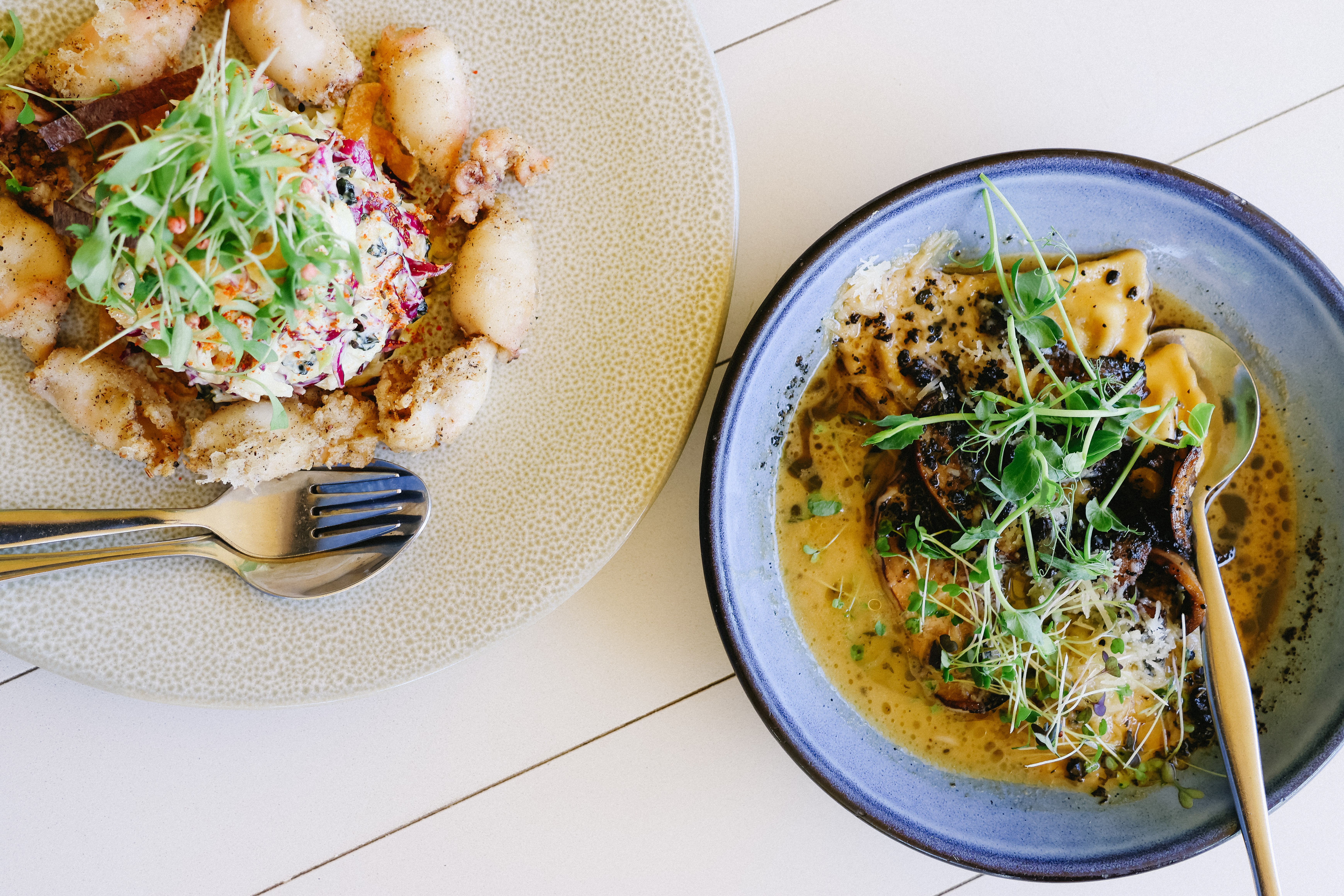 Sunlit bush landscape