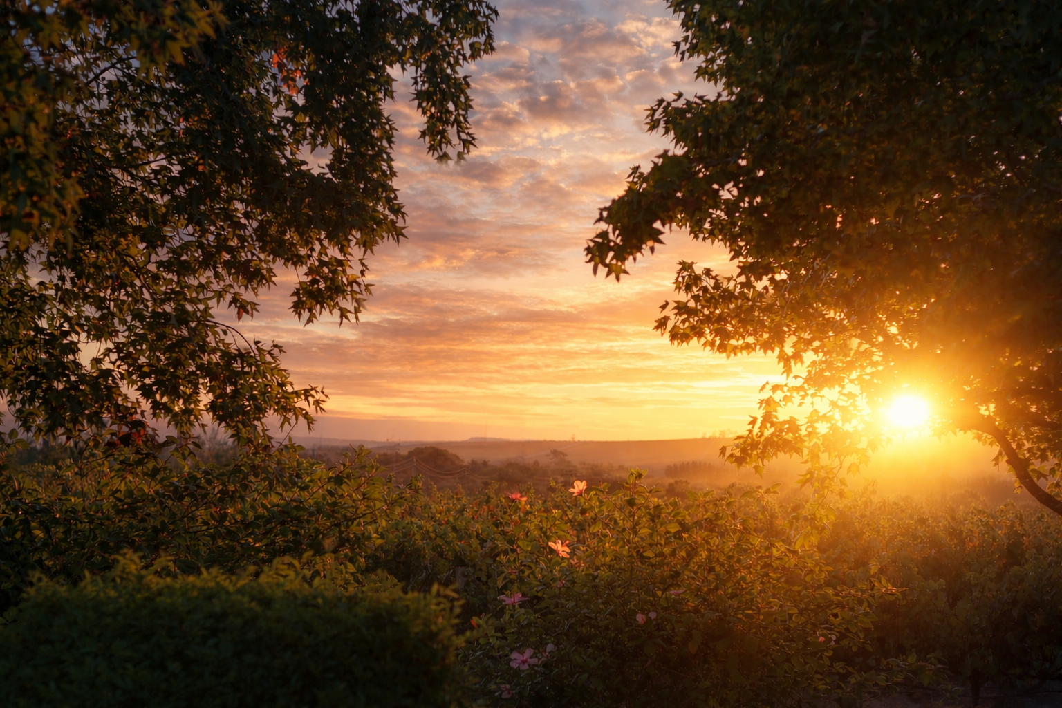 Golden savannah horizon