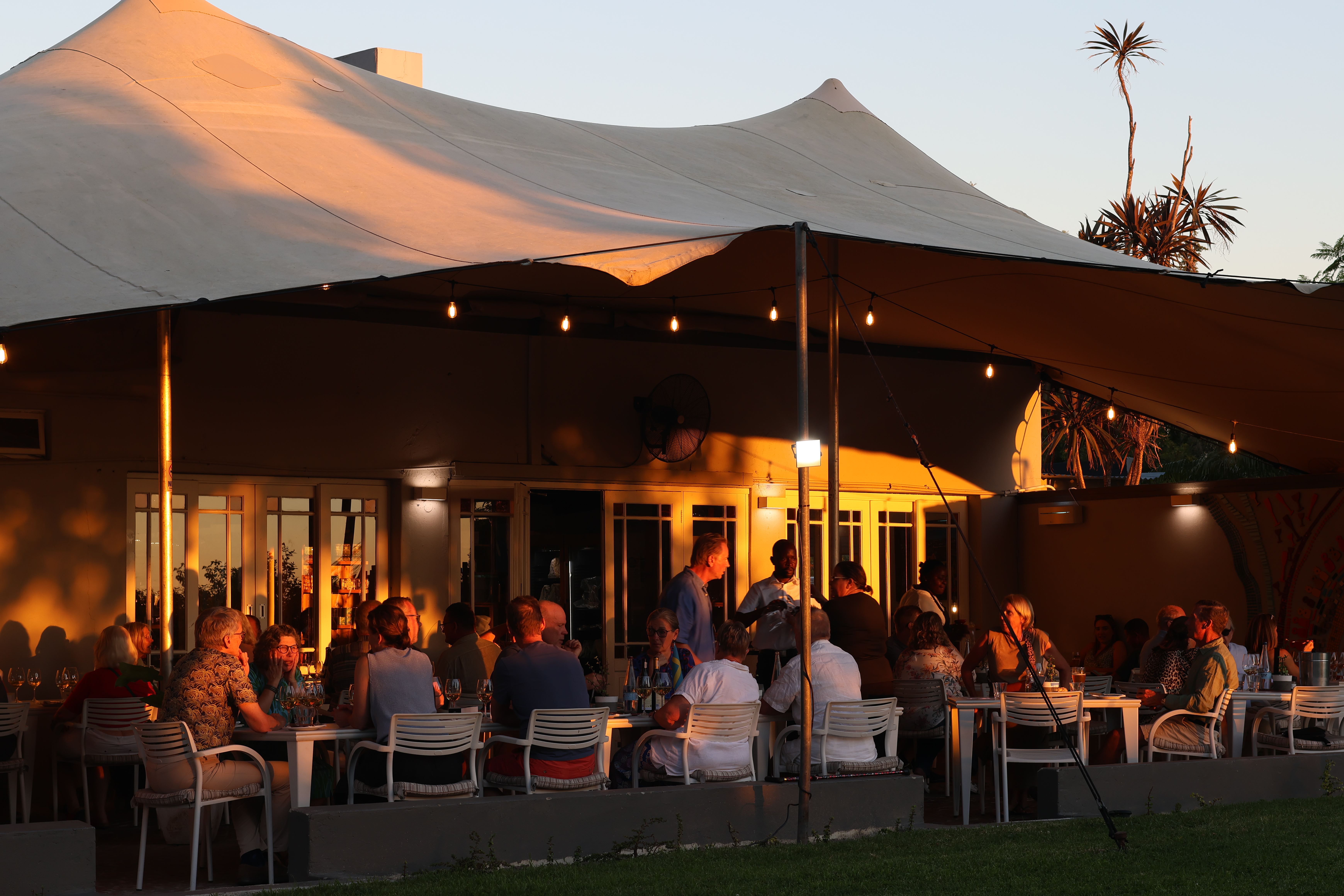 Sunlit bush landscape