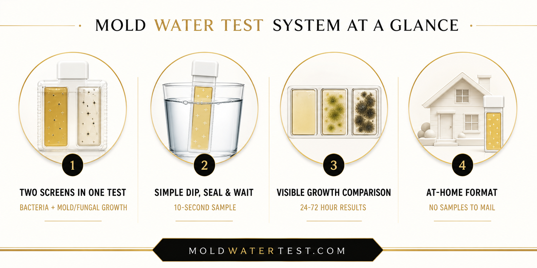 Mold Water Test System overview with two screening areas, simple sampling, visible growth comparison, and at-home format