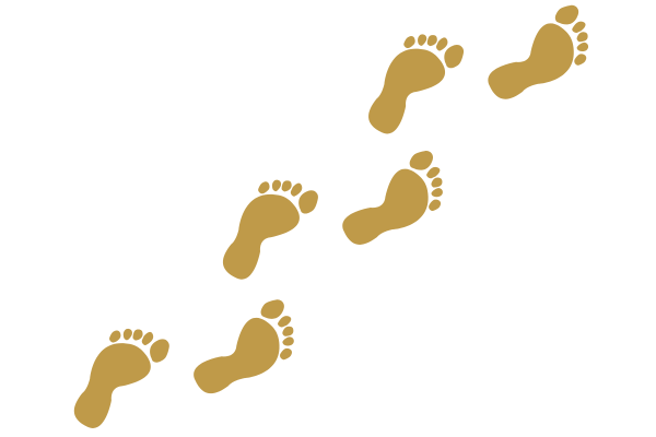 Graphic showing footprints Graphic showing footprints
