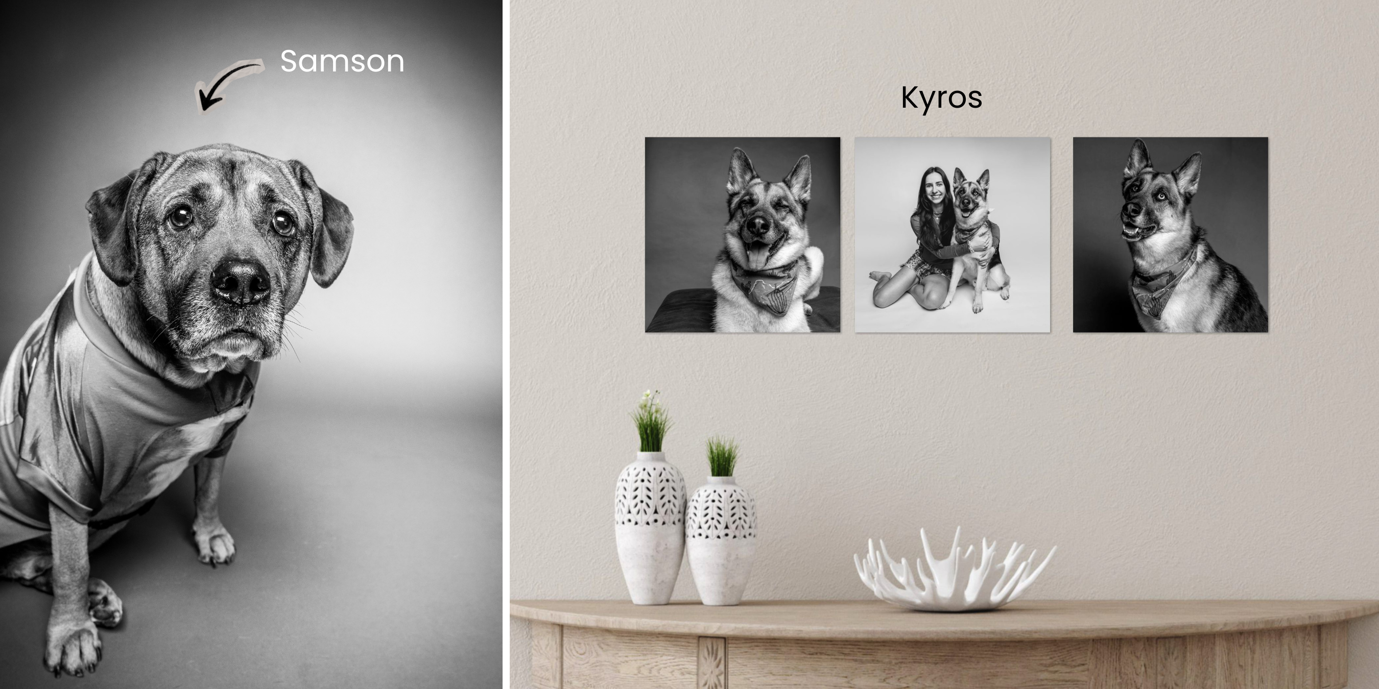 Pooch Playoffs portraits of Samson and Kyros, including custom dog wall art by Andria May Photography in Gilbert, Arizona. Pooch Playoffs portraits of Samson and Kyros, including custom dog wall art by Andria May Photography in Gilbert, Arizona.