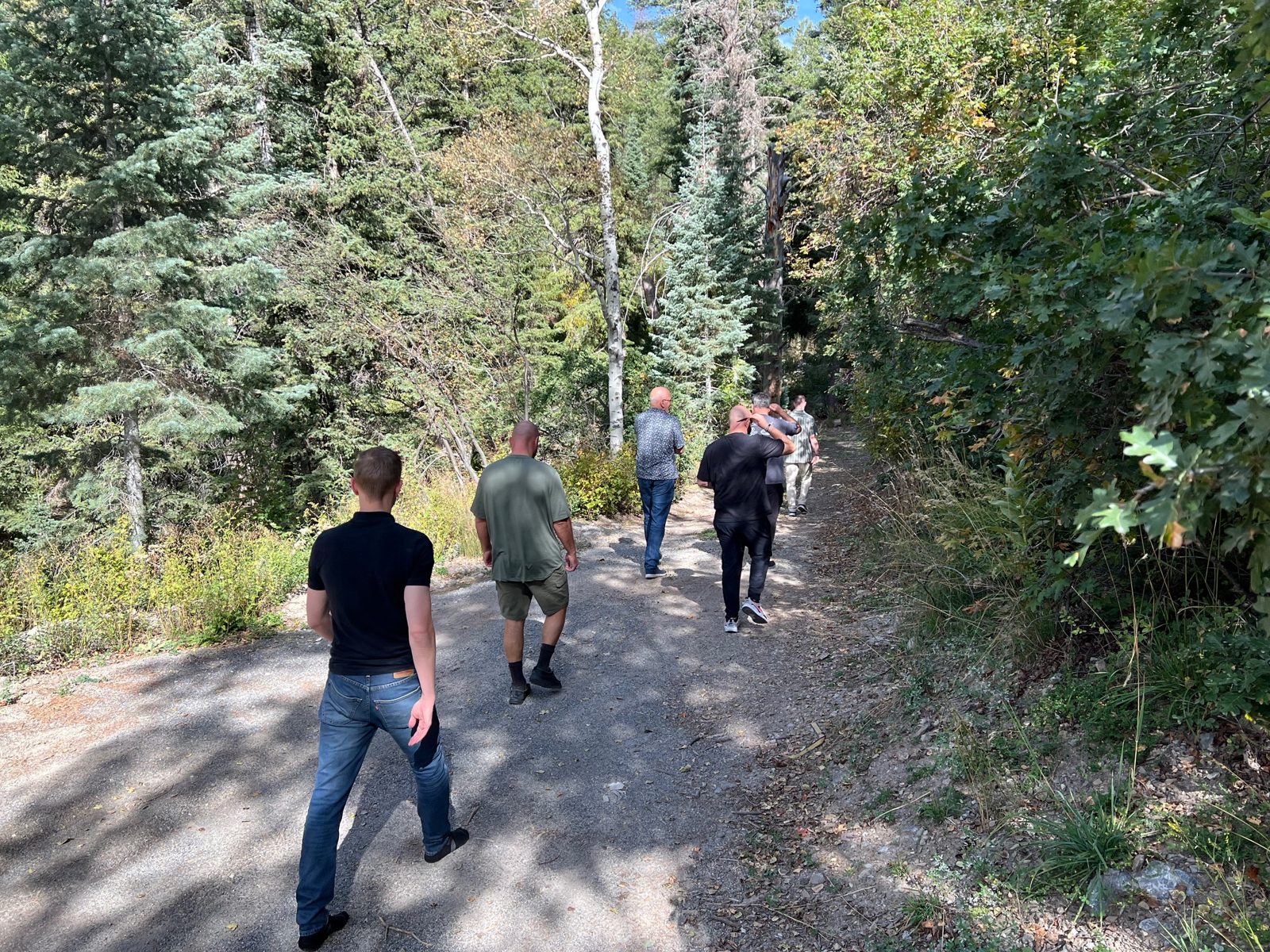 Men walking a forest trail together