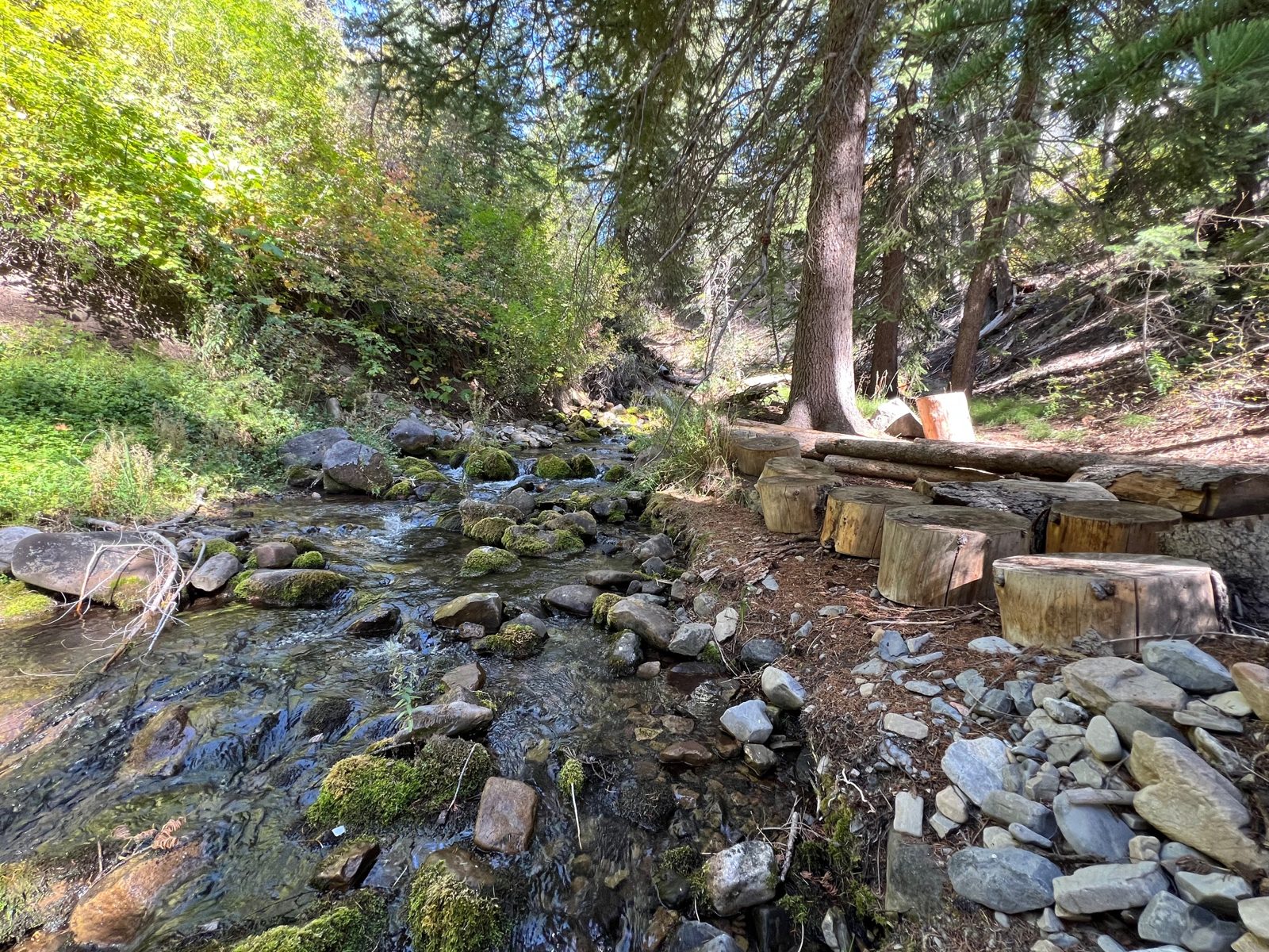 Stone steps beside a mountain stream