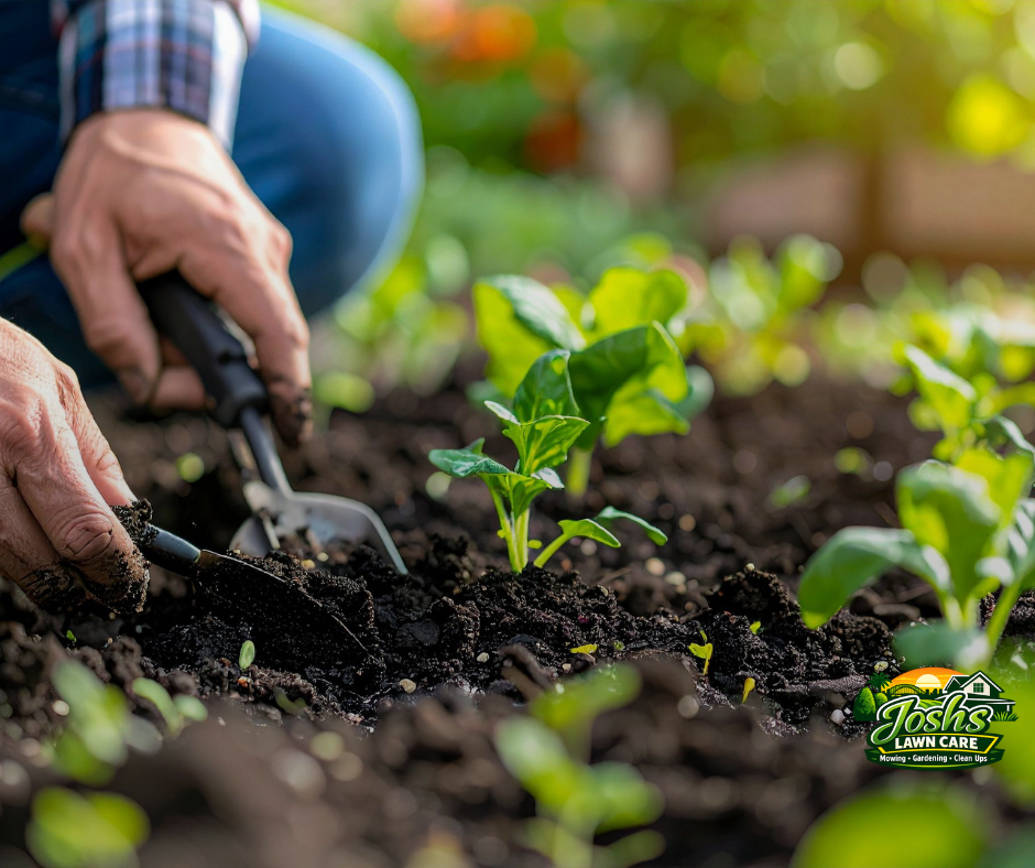 End of Rental Garden Tidy Up