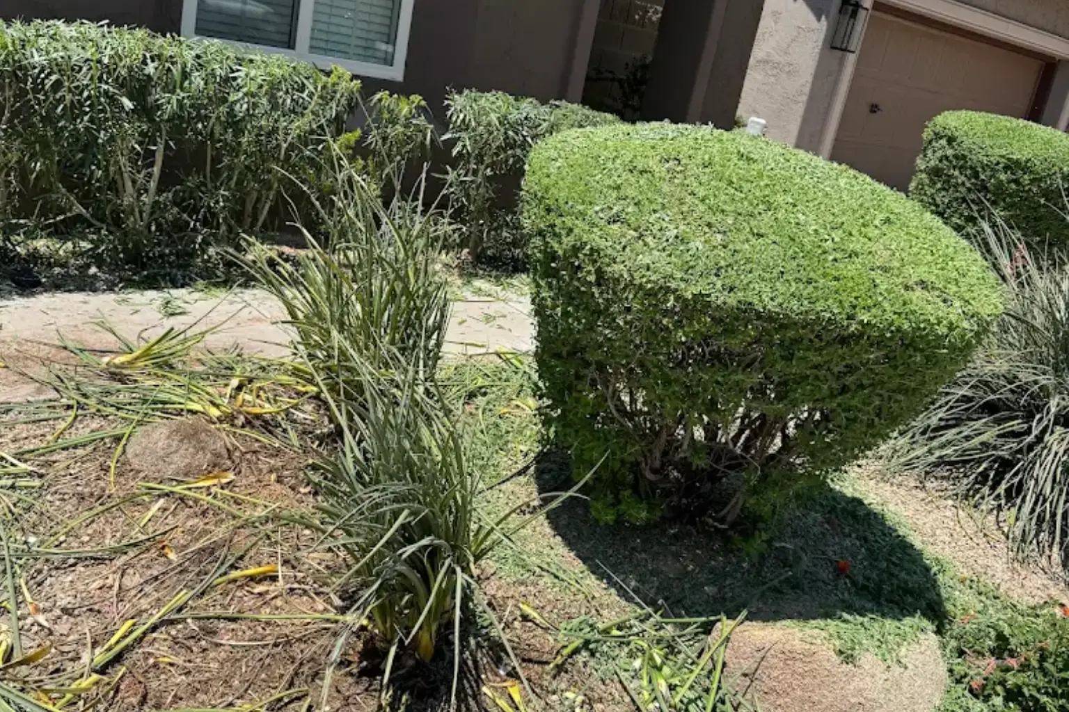  Landscape Maintenance