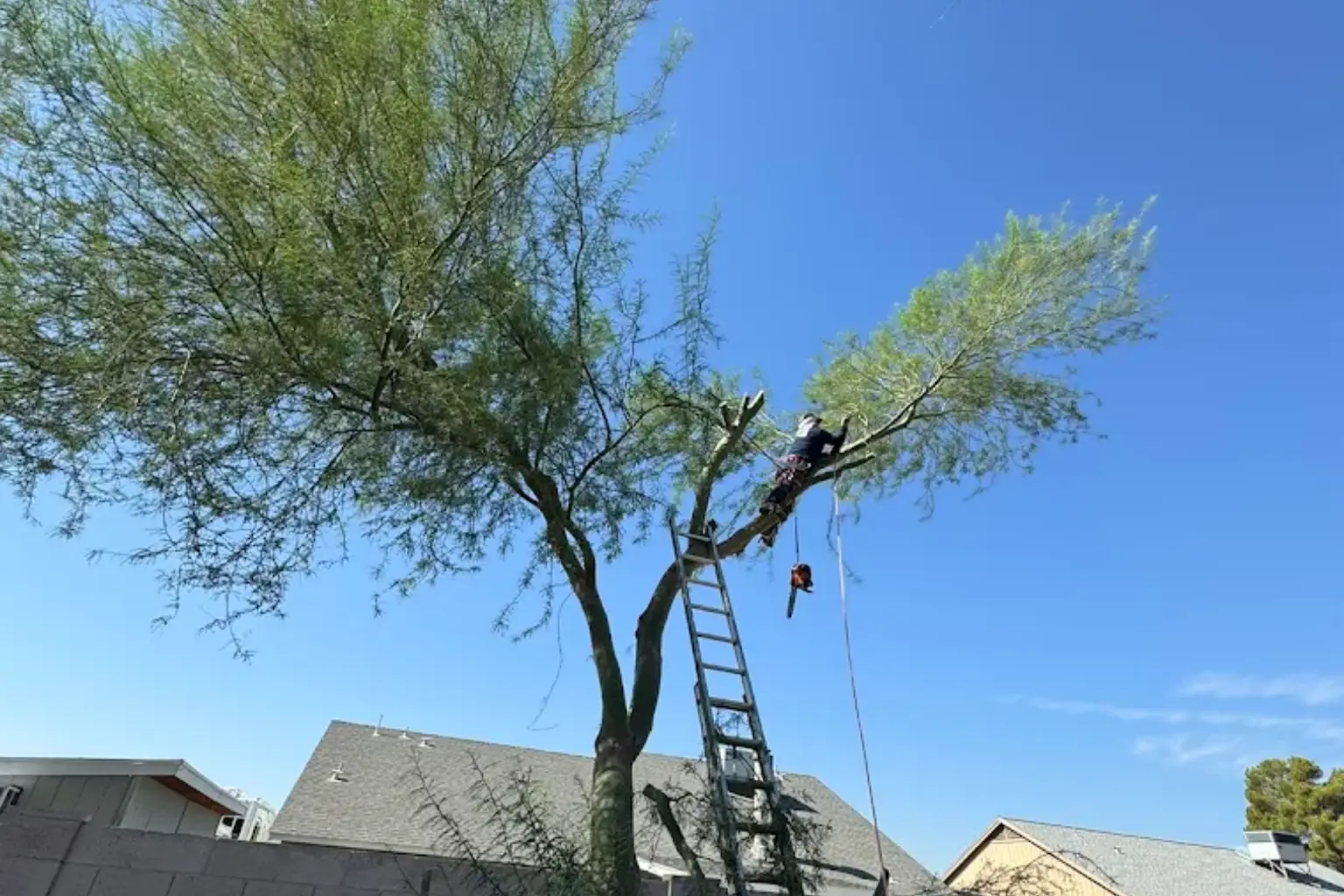  Landscape Maintenance