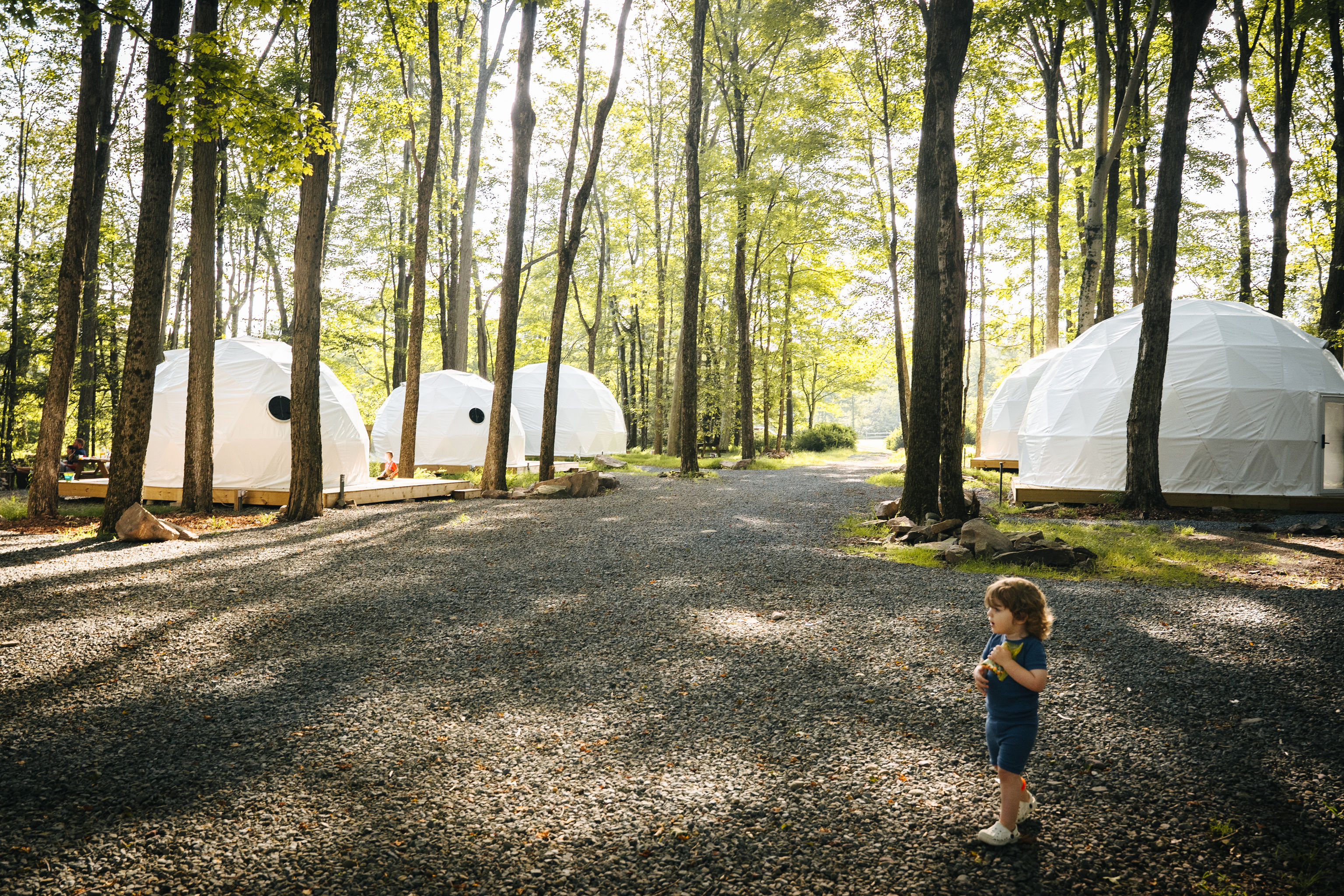 Guests walking among finished domes in the trees