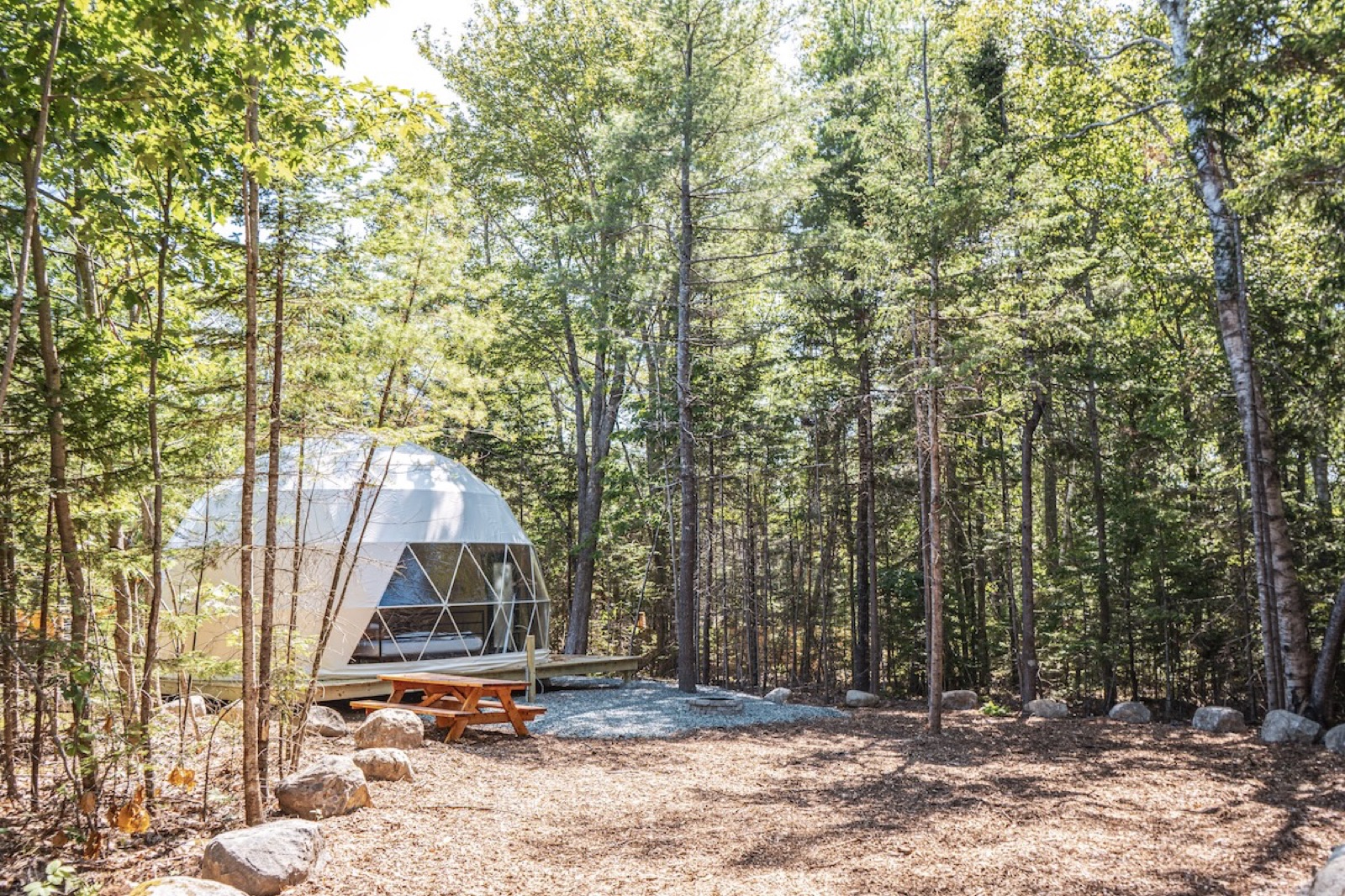 Finished dome tucked into a wooded site