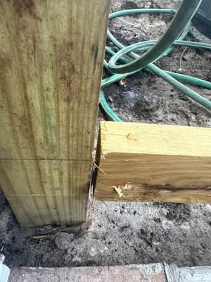 {{ custom_values.service_1 }} in {{custom_values.area_4})