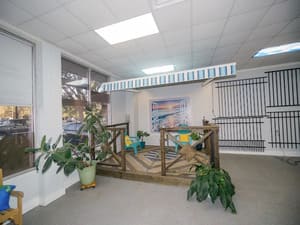 {{ custom_values.service_4 }} in {{custom_values.area_1})