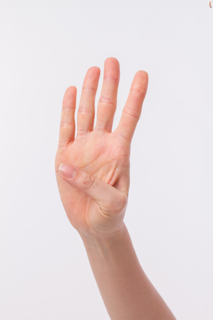 Human hand showing four fingers against a white background, symbolizing the four phases of financial sovereignty in a modern family office system. Human hand showing four fingers against a white background, symbolizing the four phases of financial sovereignty in a modern family office system.