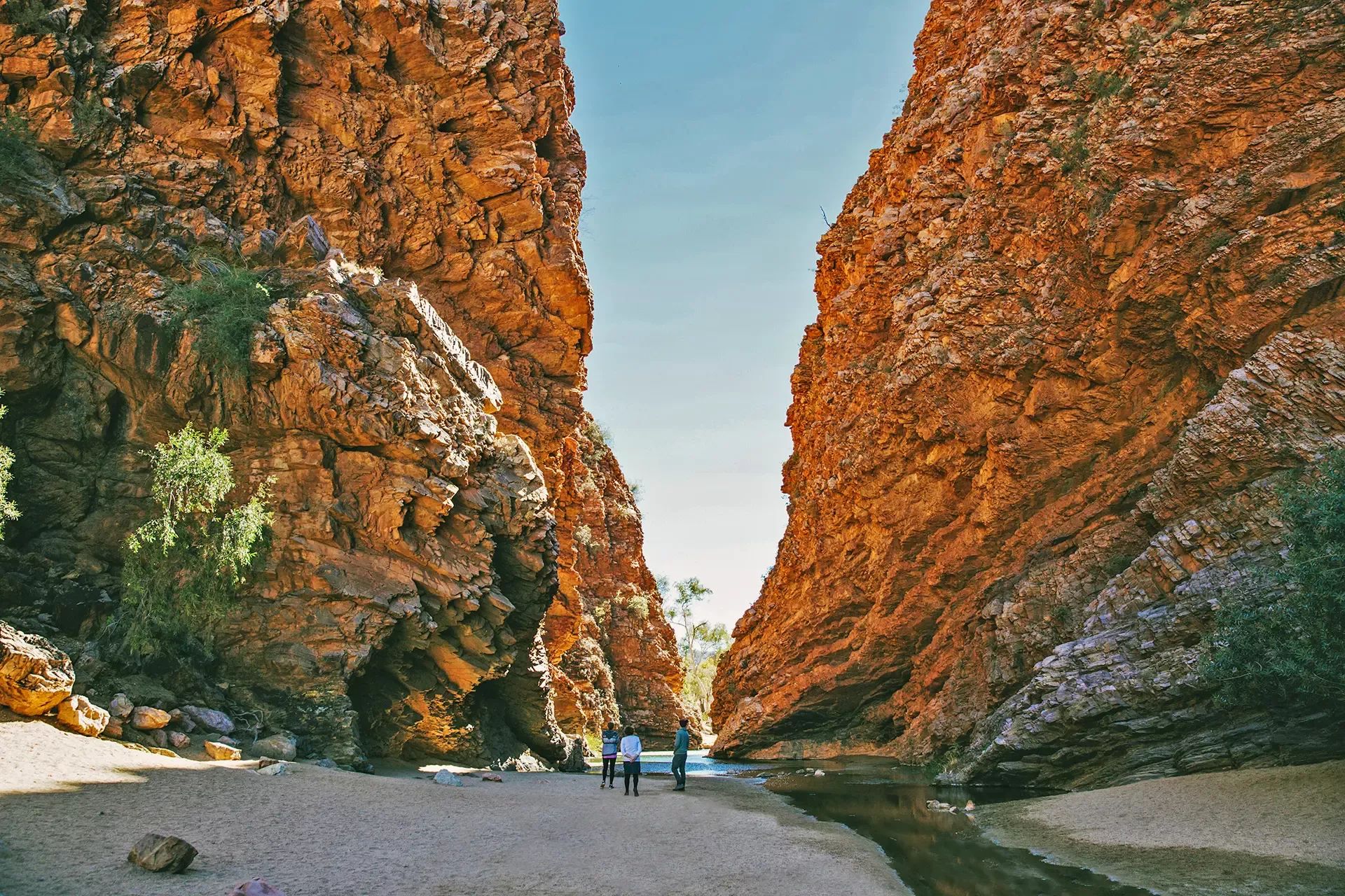 MacDonnell Ranges walk