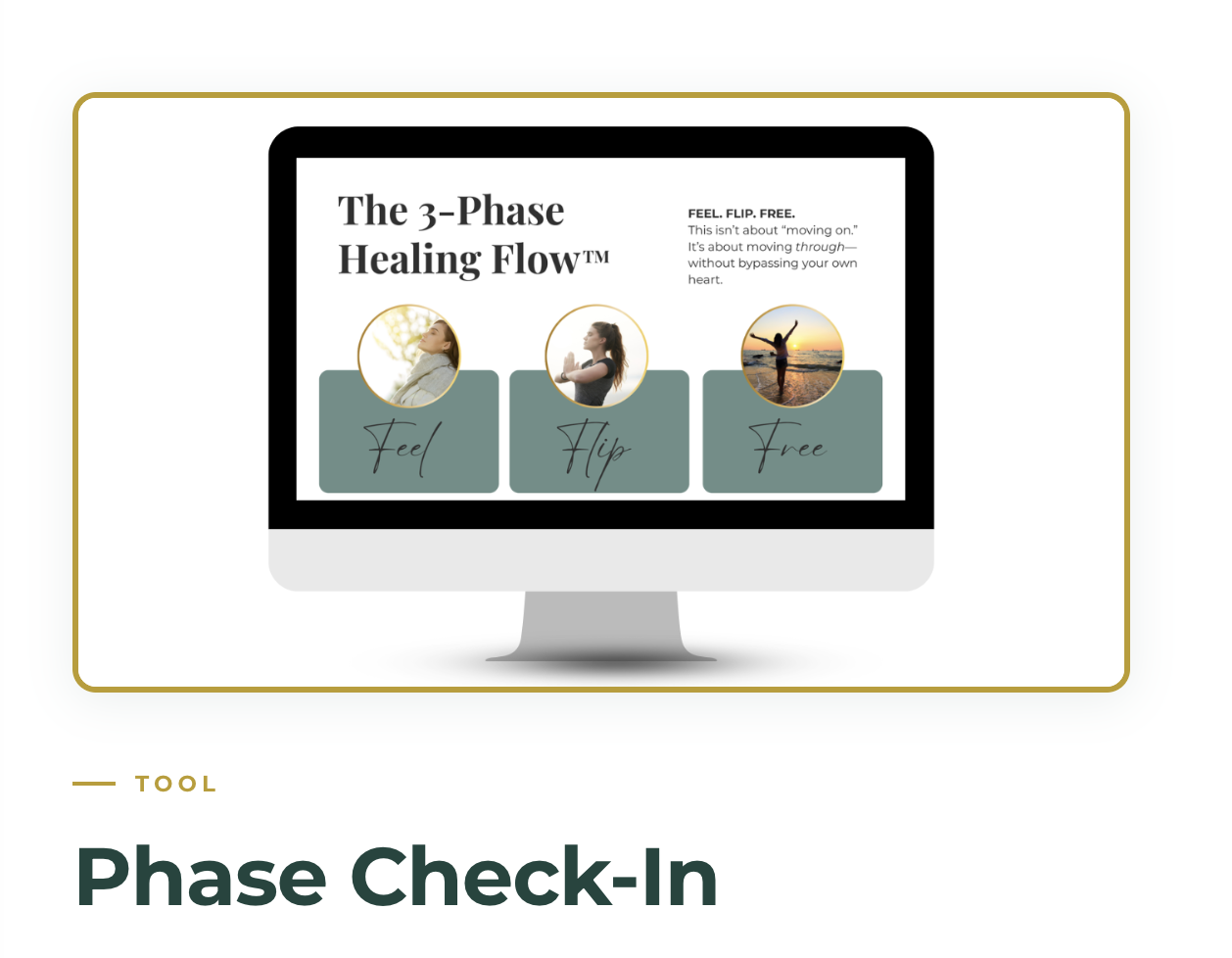 The 3-Phase Healing Flow and Phase Check-In tool.