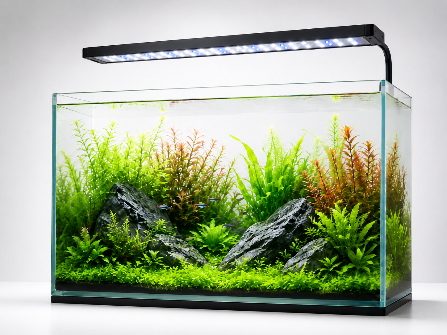 Lampu LED akuarium