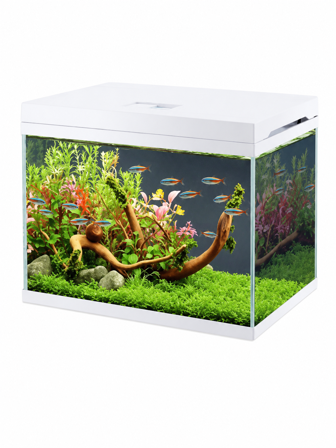 SOBO ES Series aquarium full set detail image