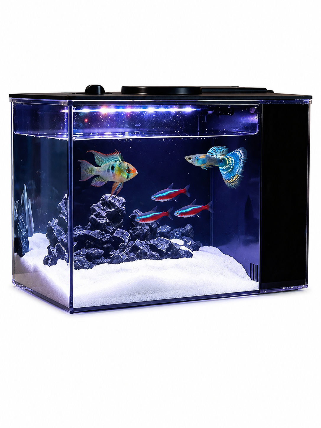 Generic mini desktop fish tank with filter and oxygen pump product image