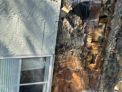 {{ custom_values.service_4 }} in {{custom_values.area_7})