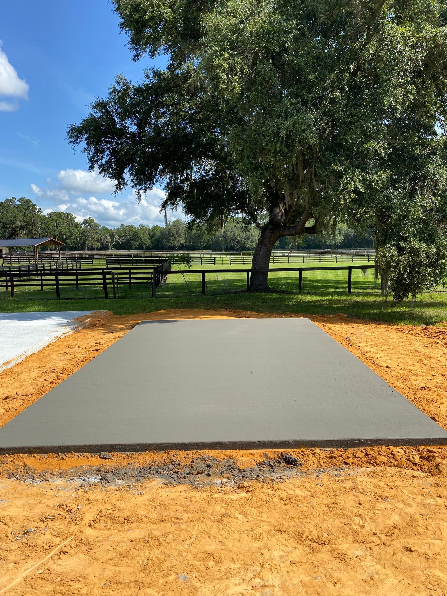 A finished concrete pad poured by James Reed Concrete on a North Florida horse farm under a massive live oak