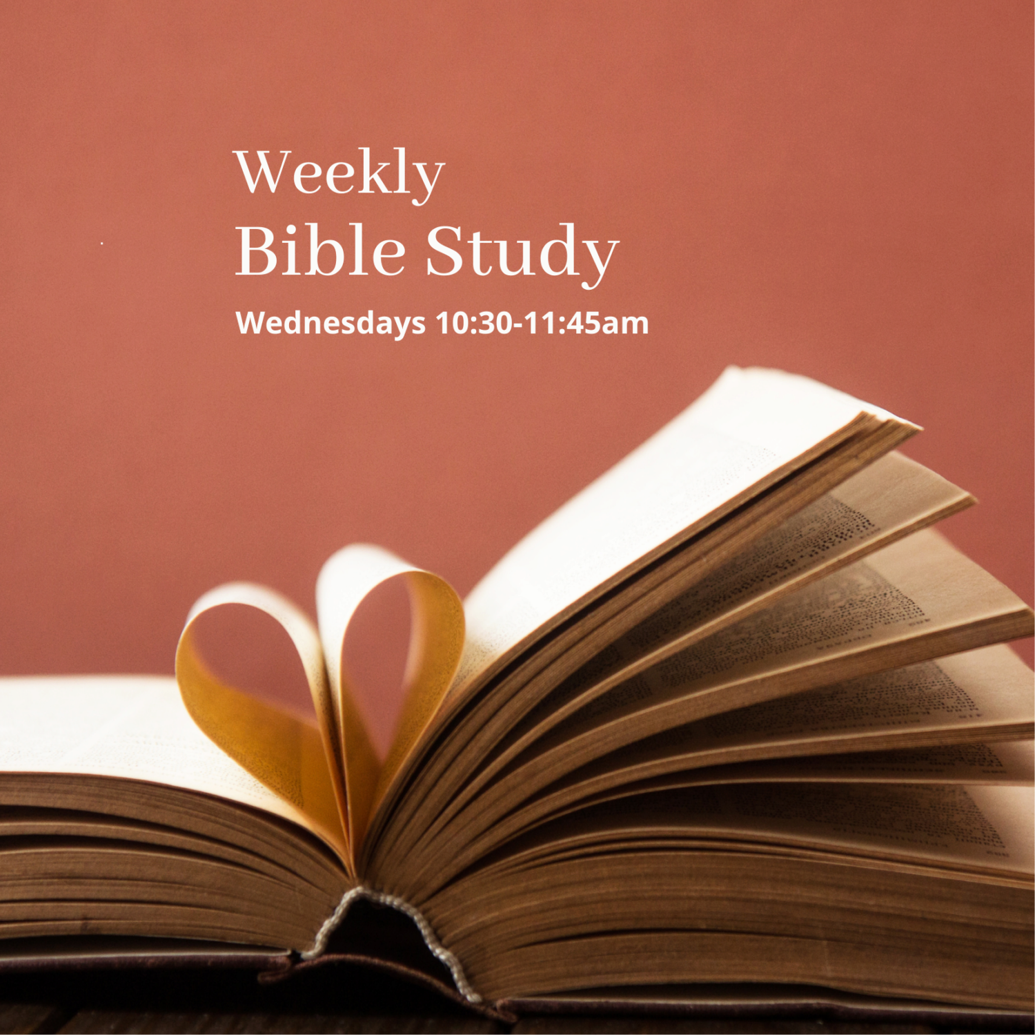 An open Bible, used to illustrate the Weekly Bible Study group at Potomac Presbyterian Church