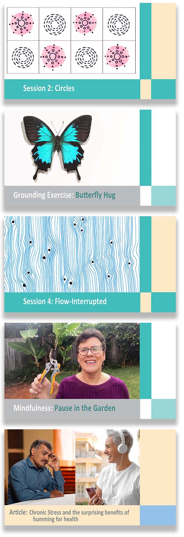 "A program overview with a list of core components, resource library, and premium support features for a Meditative Drawing course. On the left, small preview images display different sessions, including 'Session 2: Circles,' 'Grounding Exercise: Butterfly Hug,' 'Session 4: Flow-Interrupted,' 'Mindfulness: Pause in the Garden,' and an article about stress and health benefits.