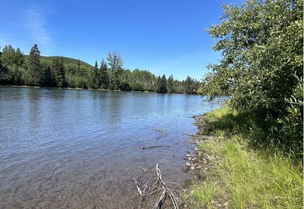 Riverbank near Anglers Inn
