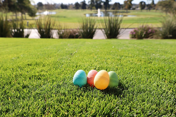 Omni National Easter Event Omni National Easter Event