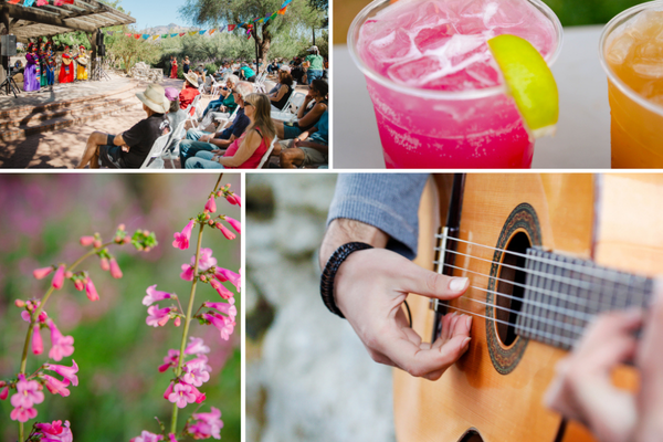 Sundays Garden Tohono Chul Sundays Garden Tohono Chul