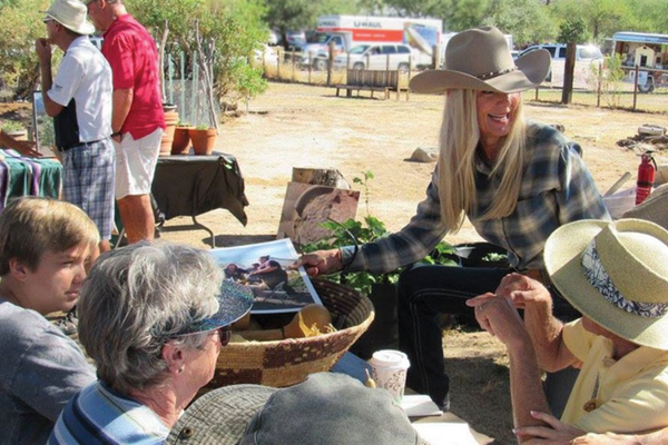Steam Pump Ranch Oro Valley Steam Pump Ranch Oro Valley