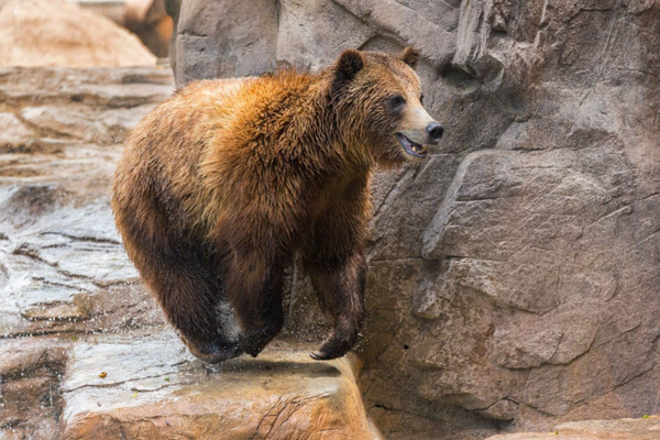 Reid Park Zoom April 2026 Reid Park Zoom April 2026