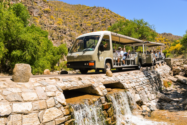 Sabino Canyon Hiking and Tram Sabino Canyon Hiking and Tram