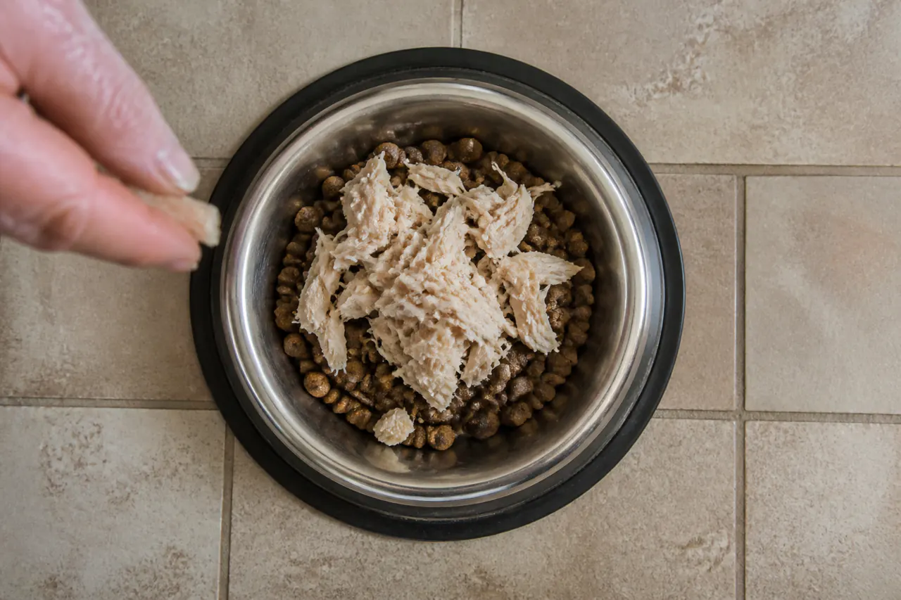 A generous scoop of shredded cooked chicken has been added to a bowl of kibble.
