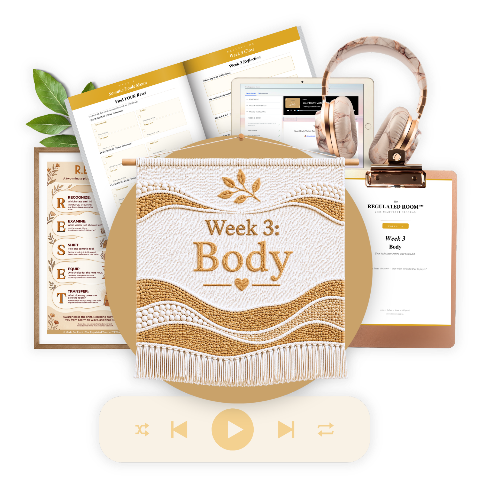 Week 3: Body