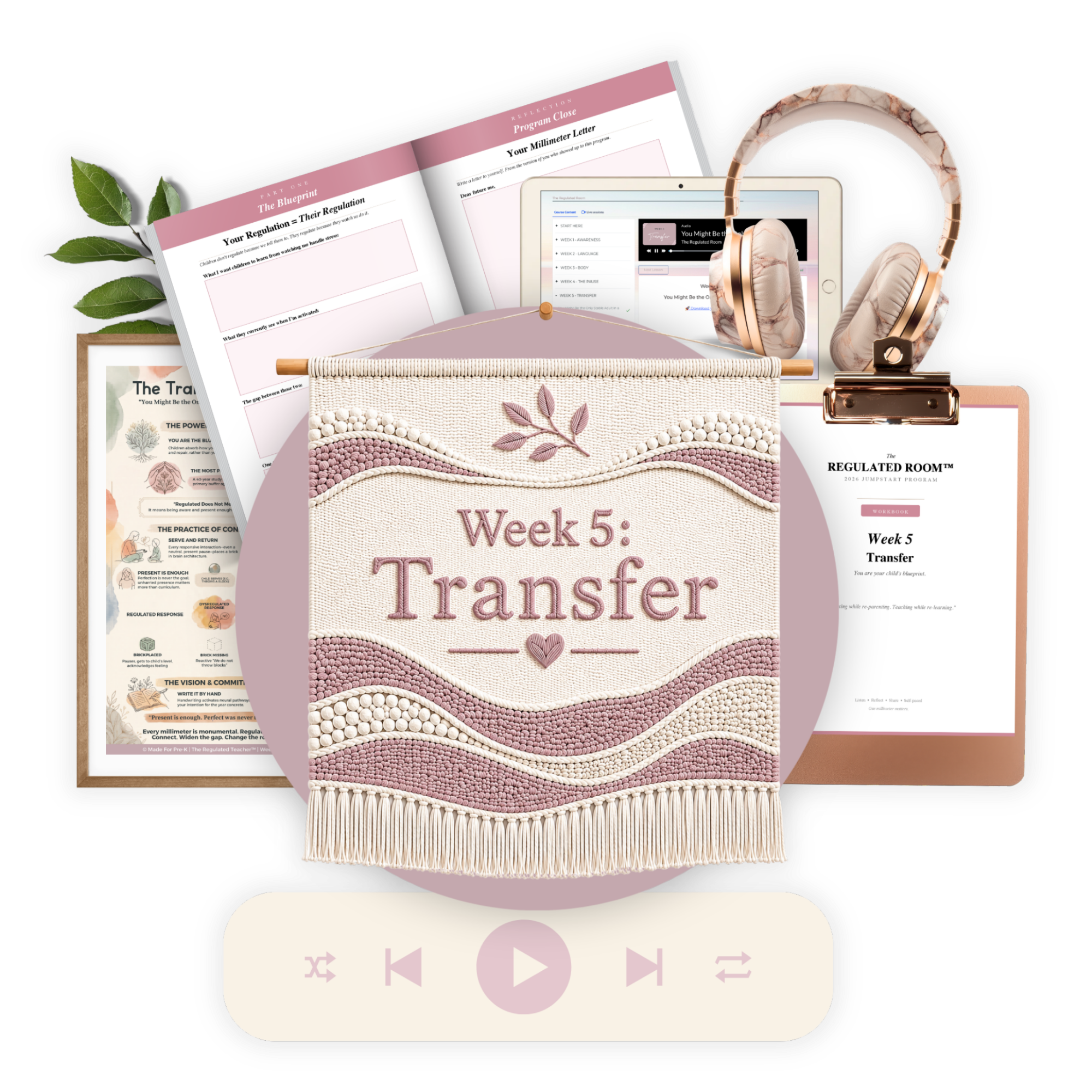 Week 5: Transfer