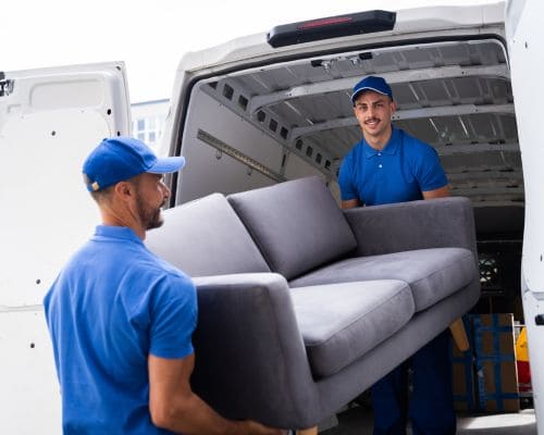 Needham Trash Removal