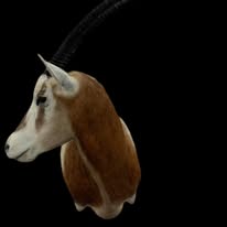 Oryx Mounts