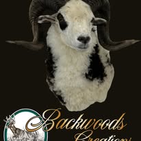 Ram Mounts