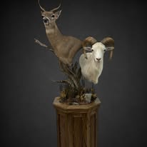 Life-Size & Pedestal Mounts