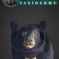 Black Bear Mounts