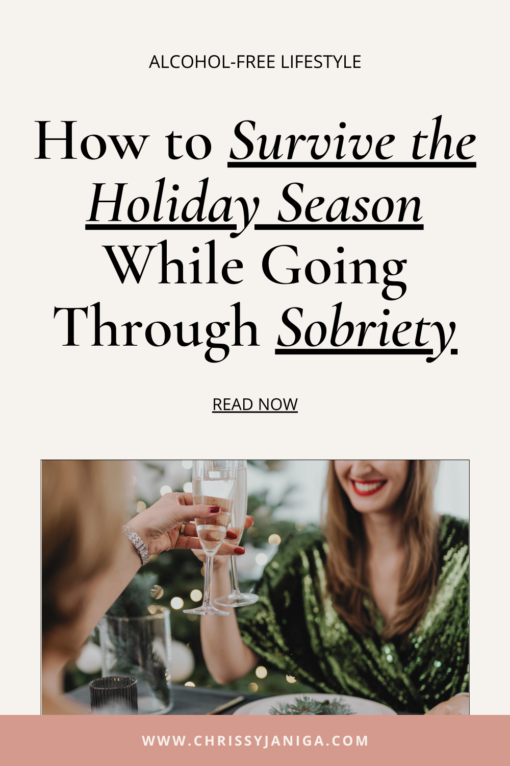 Survive the Holdiay