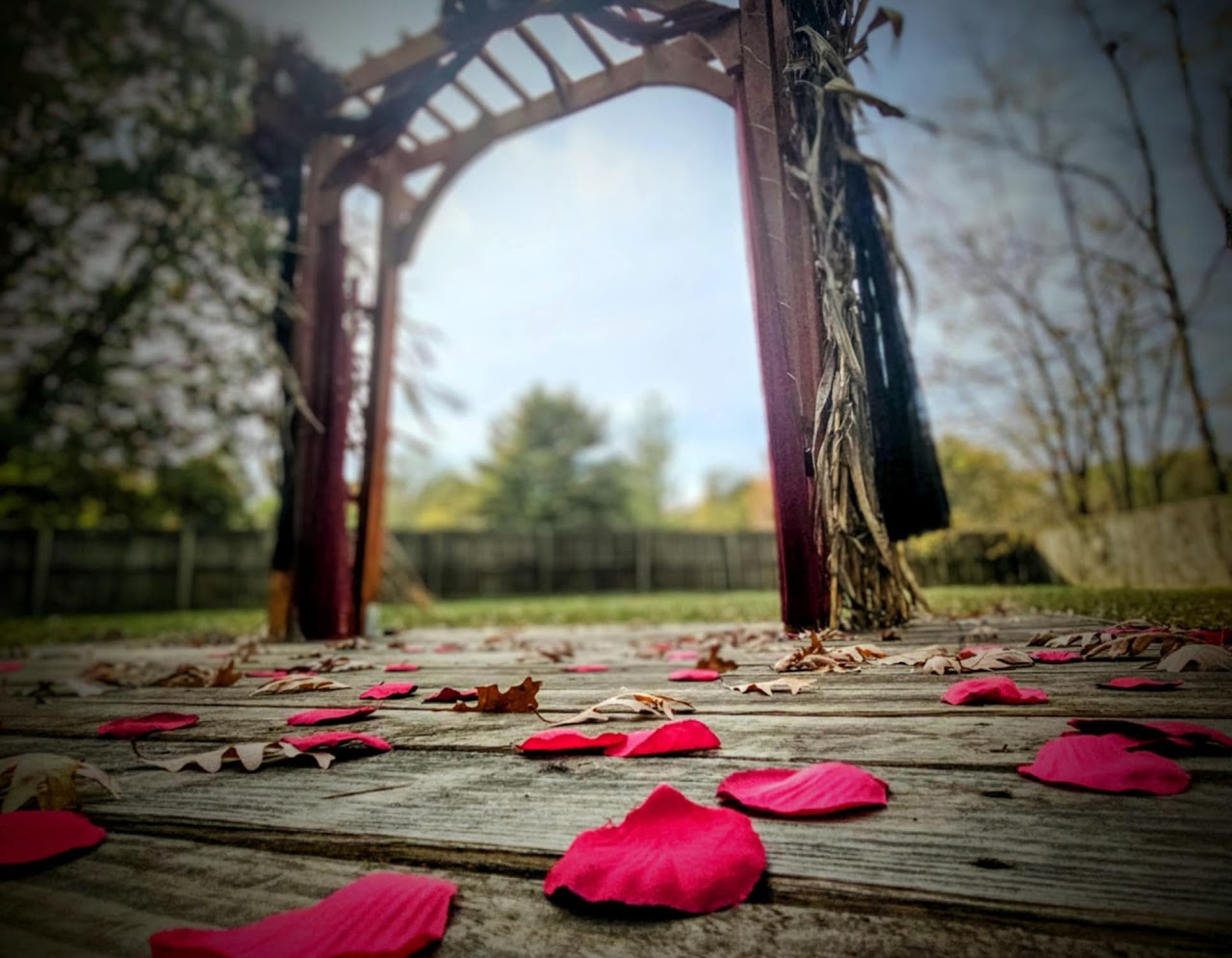 Wedding Arbor