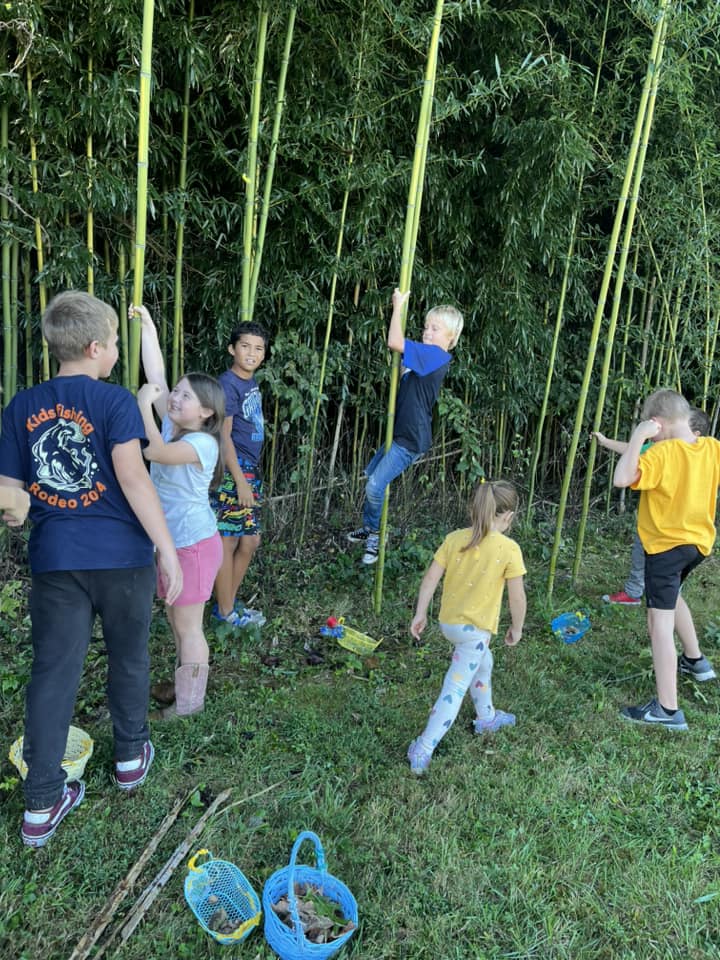 Farm School