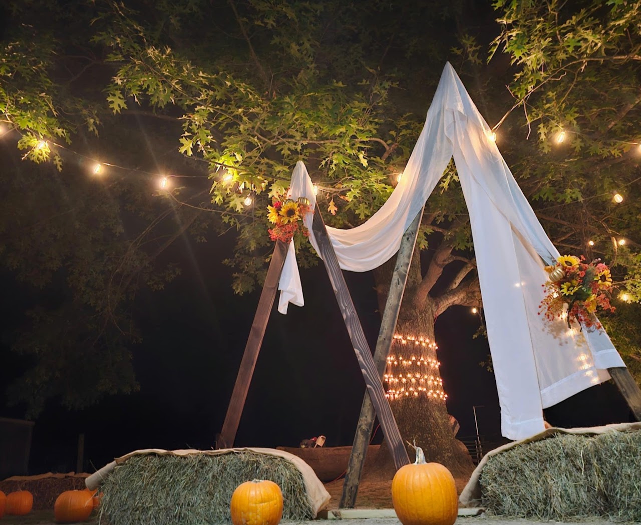 Small Wonders Farm Wedding 3