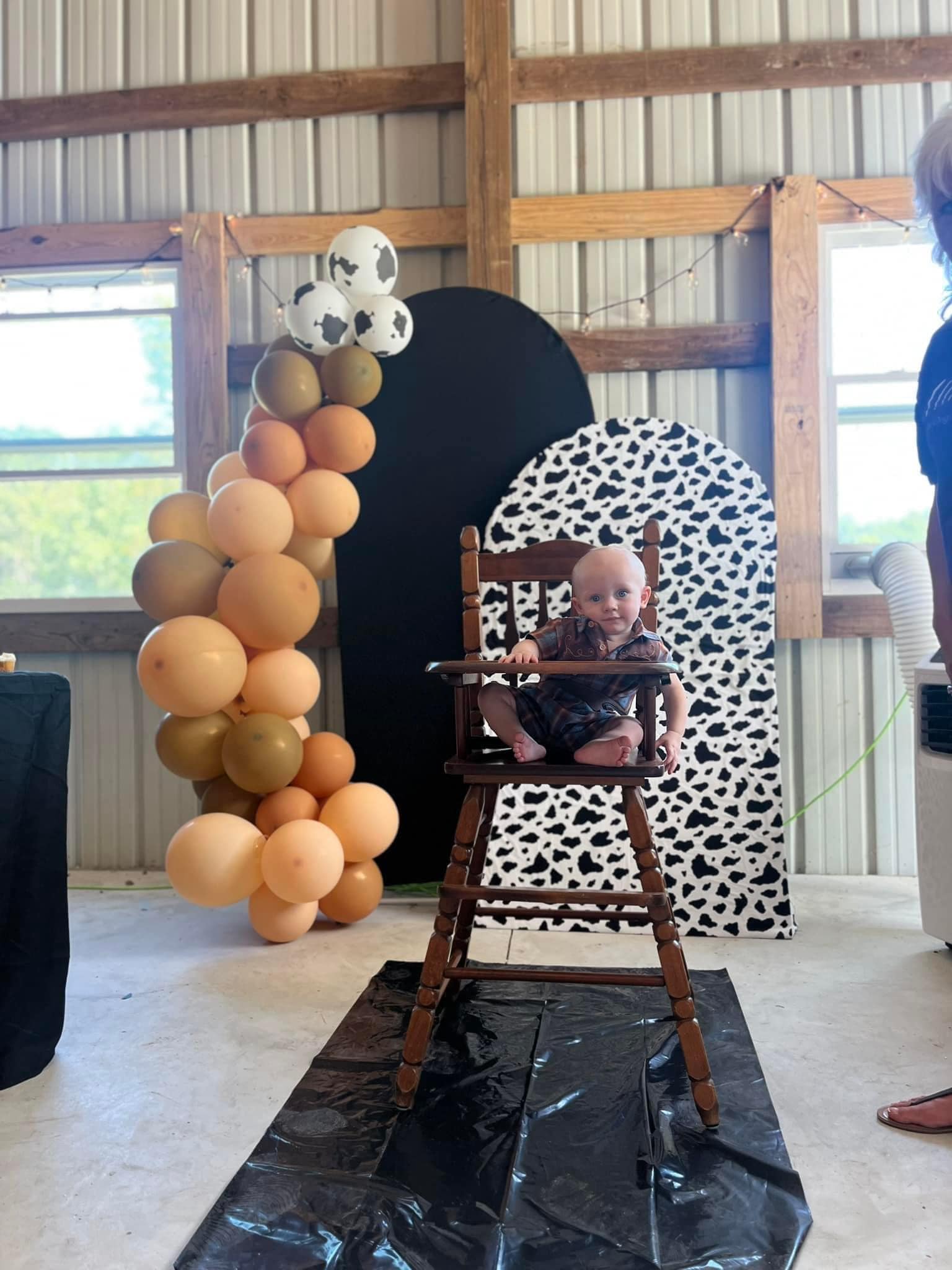 Party on the Farm