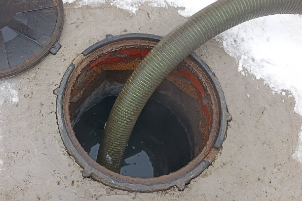 Water Feature & Pond Care Houston