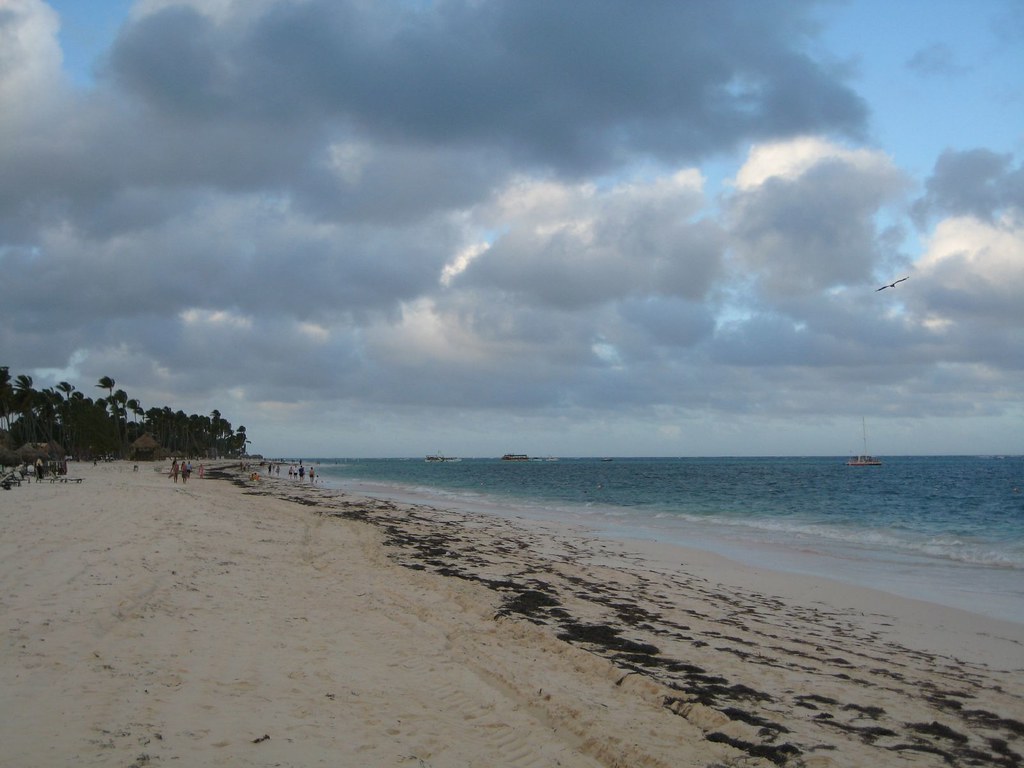 Hotel Riu Bambú