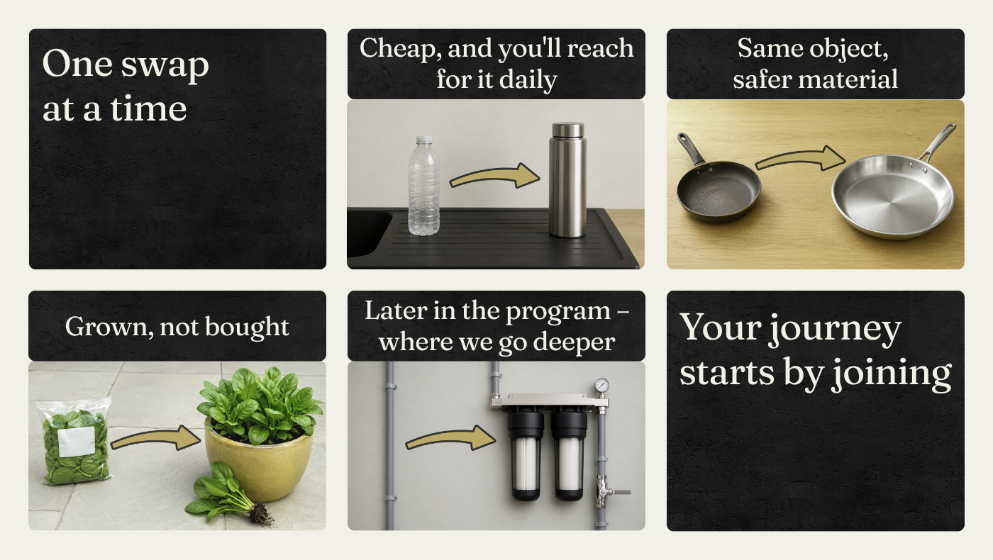 Example swaps: plastic bottle to stainless steel, non-stick pan to stainless, bagged greens to home-grown