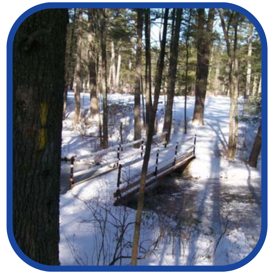 Get Outside: Hiking Bear Brook State Park