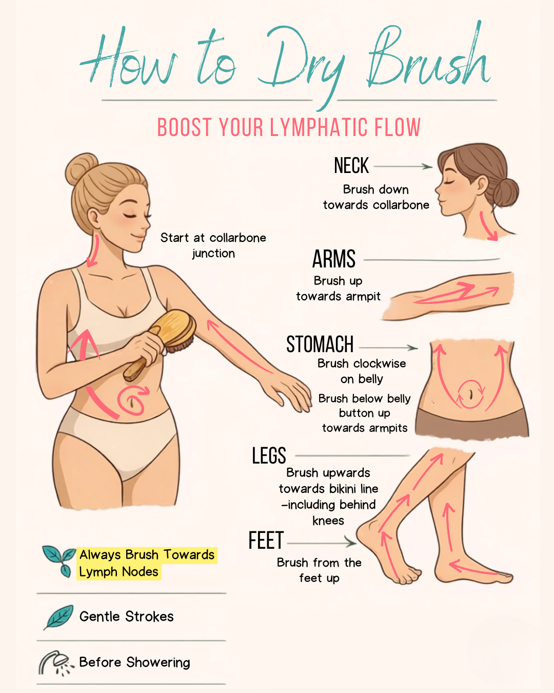 Dry Brush before showering to stimulate lymph drainage Dry Brush before showering to stimulate lymph drainage